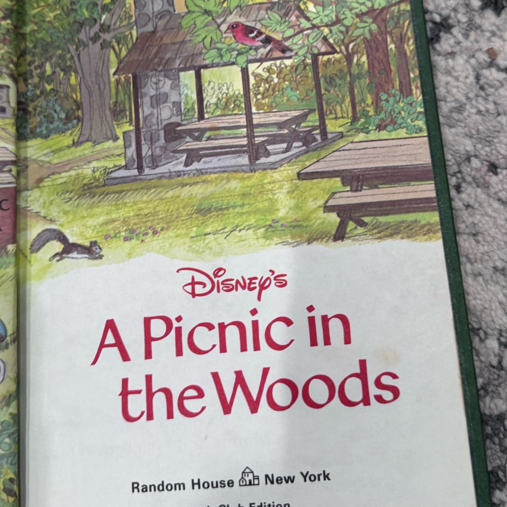 Walt Disney Productions presents  'A Picnic in the Woods' Illustrated Book - Picture 5 of 6
